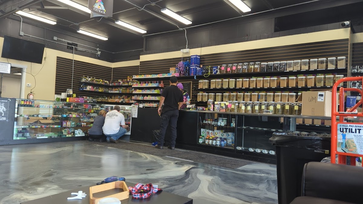 The Kava Bar photo 4