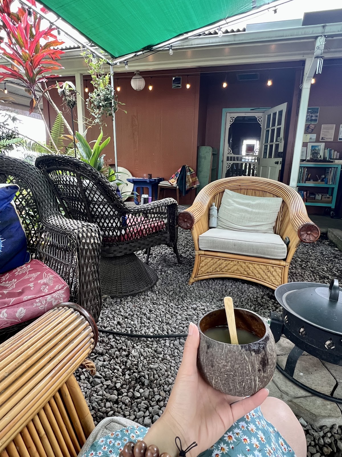 Around The Kava Bowl