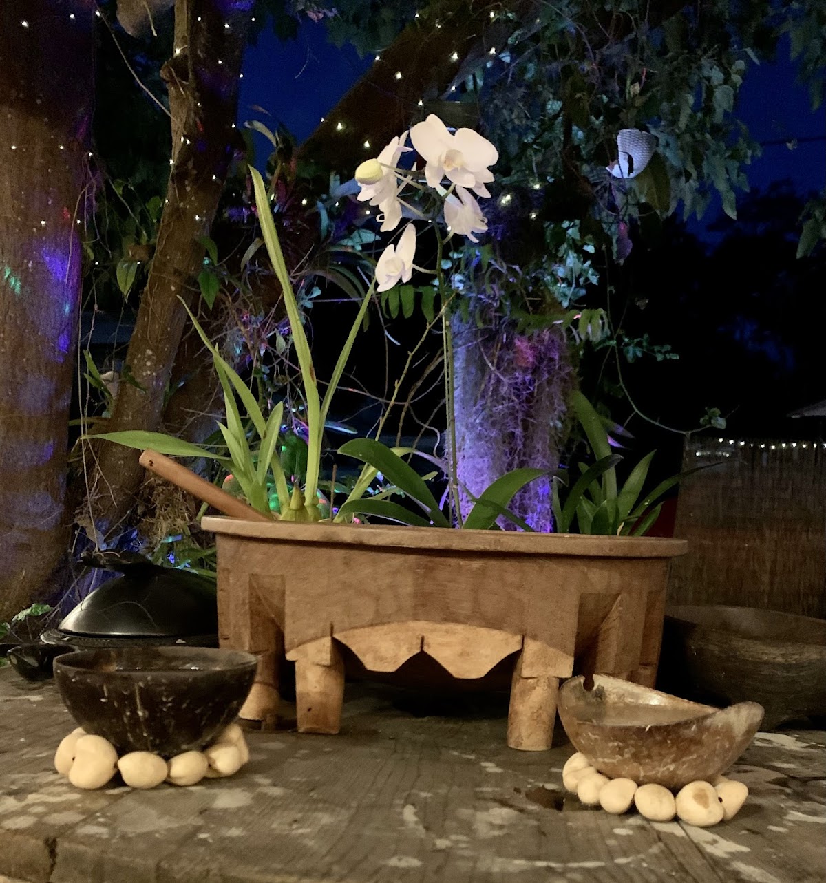 Around The Kava Bowl photo 5