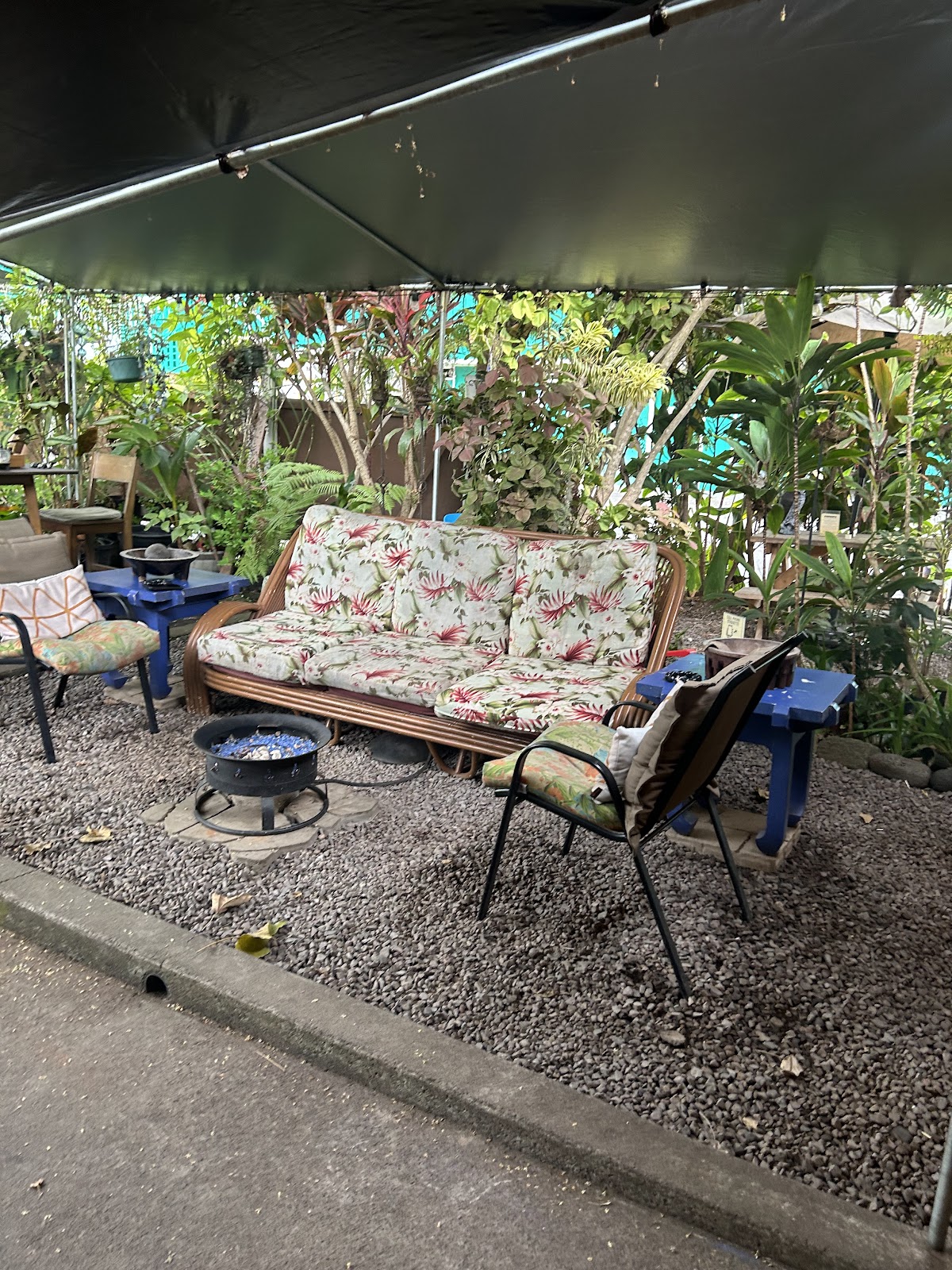 Around The Kava Bowl photo 4