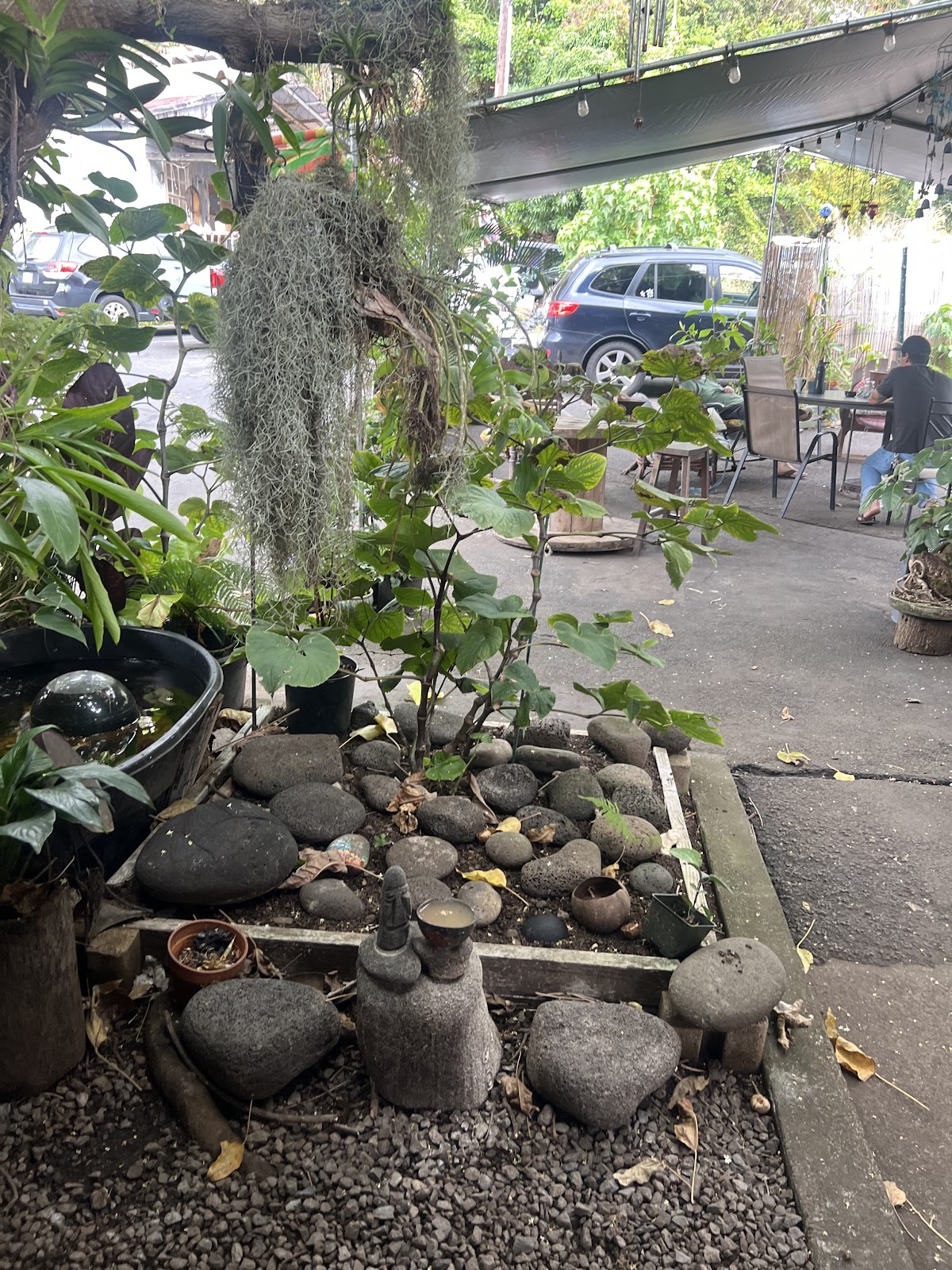 Around The Kava Bowl photo 1