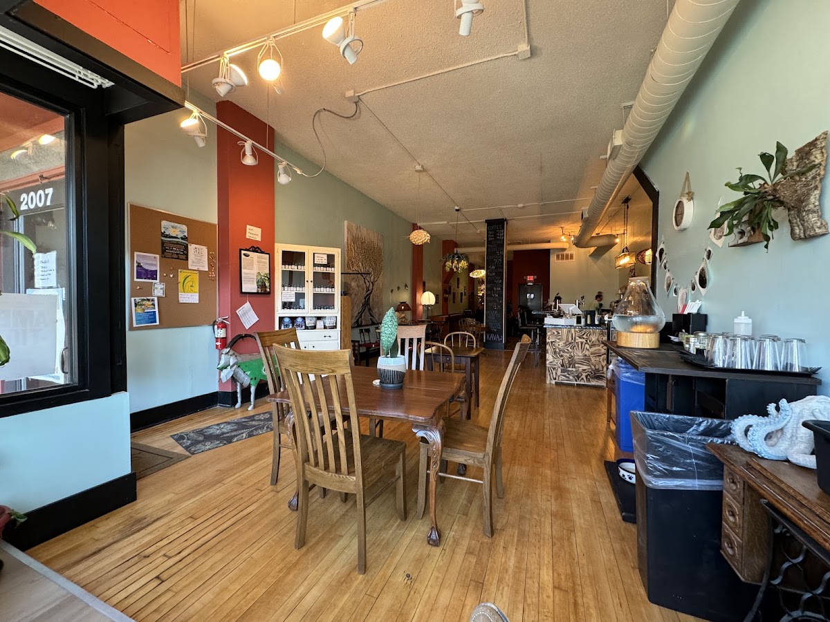 Rooted In Sanity Kava Lounge,LLC photo 7