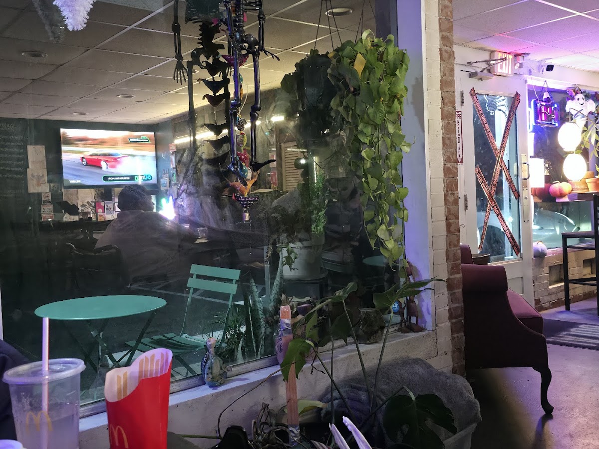 Wana Navu Kava Bar photo 3