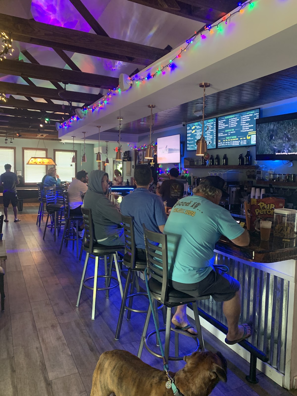 Island Root Kava Bar Sebastian photo 5