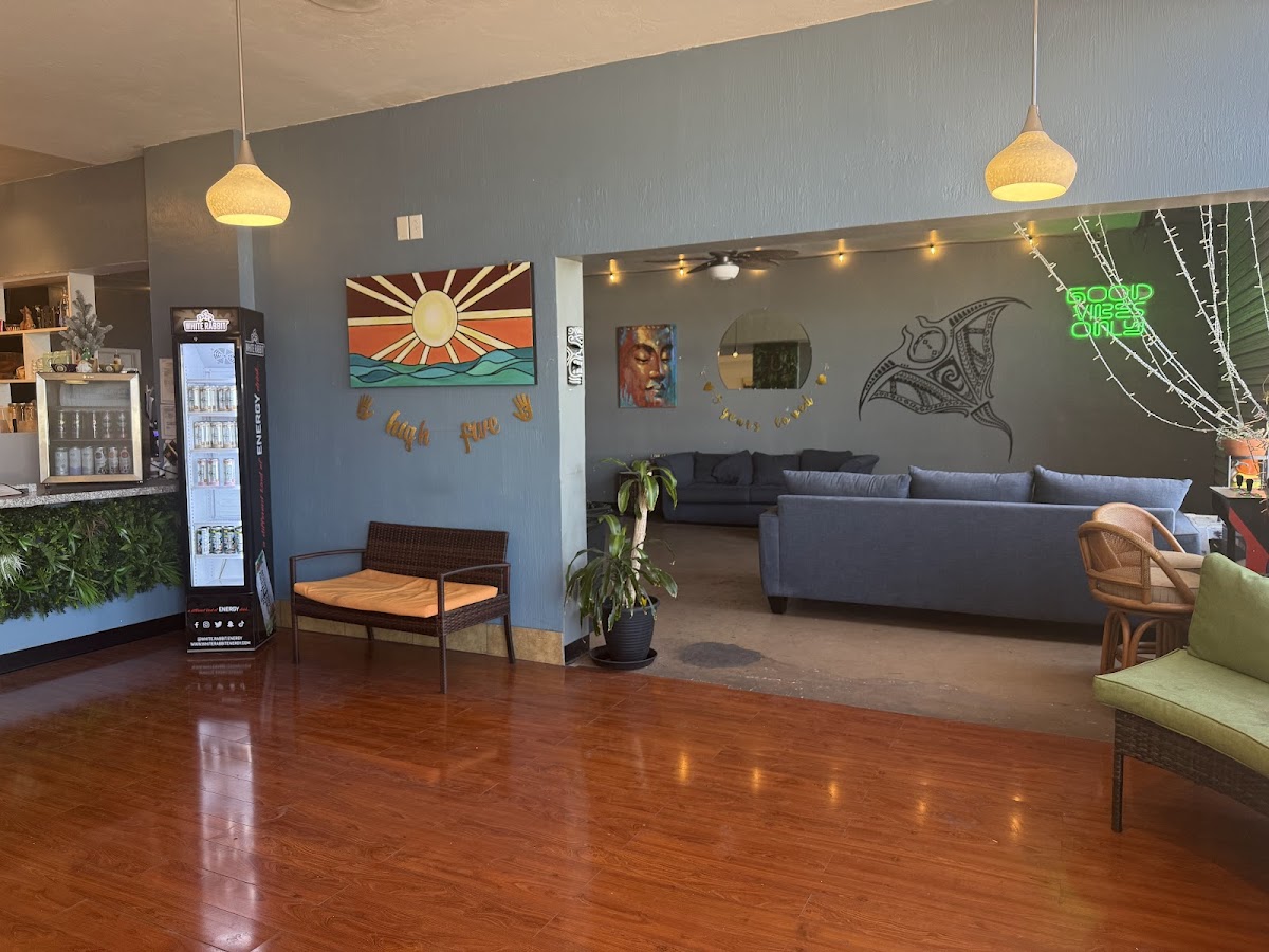 The Kava Bar photo 5