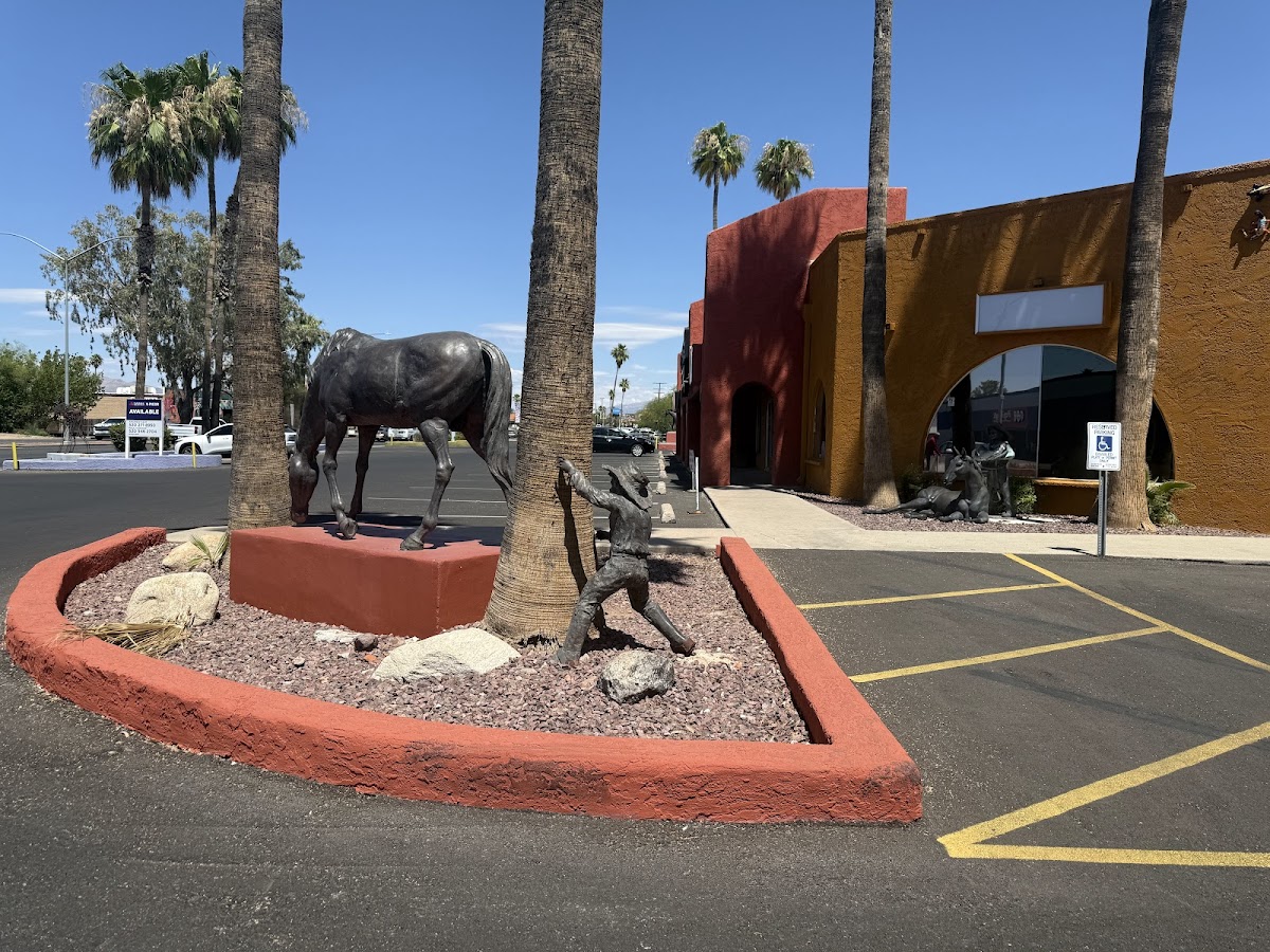 The Kava Bar photo 7