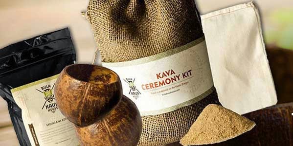 Bula Kava House photo 1