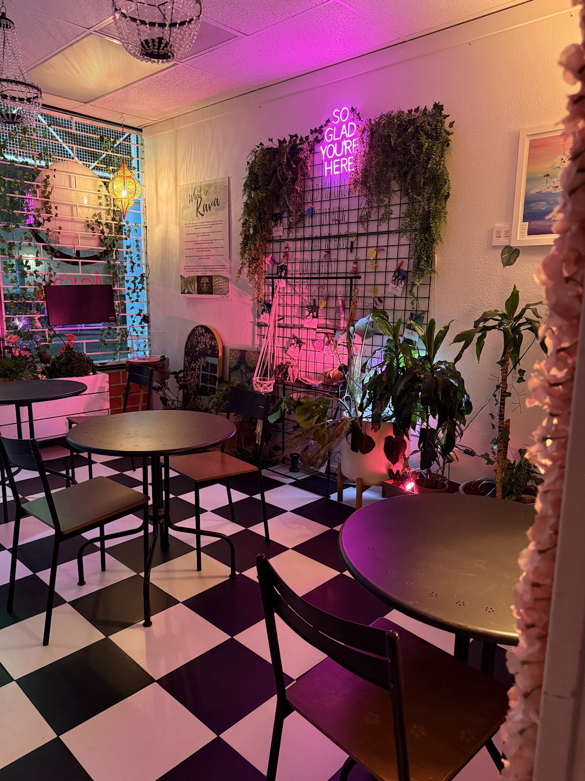 Meraki Kava & Tea photo 4