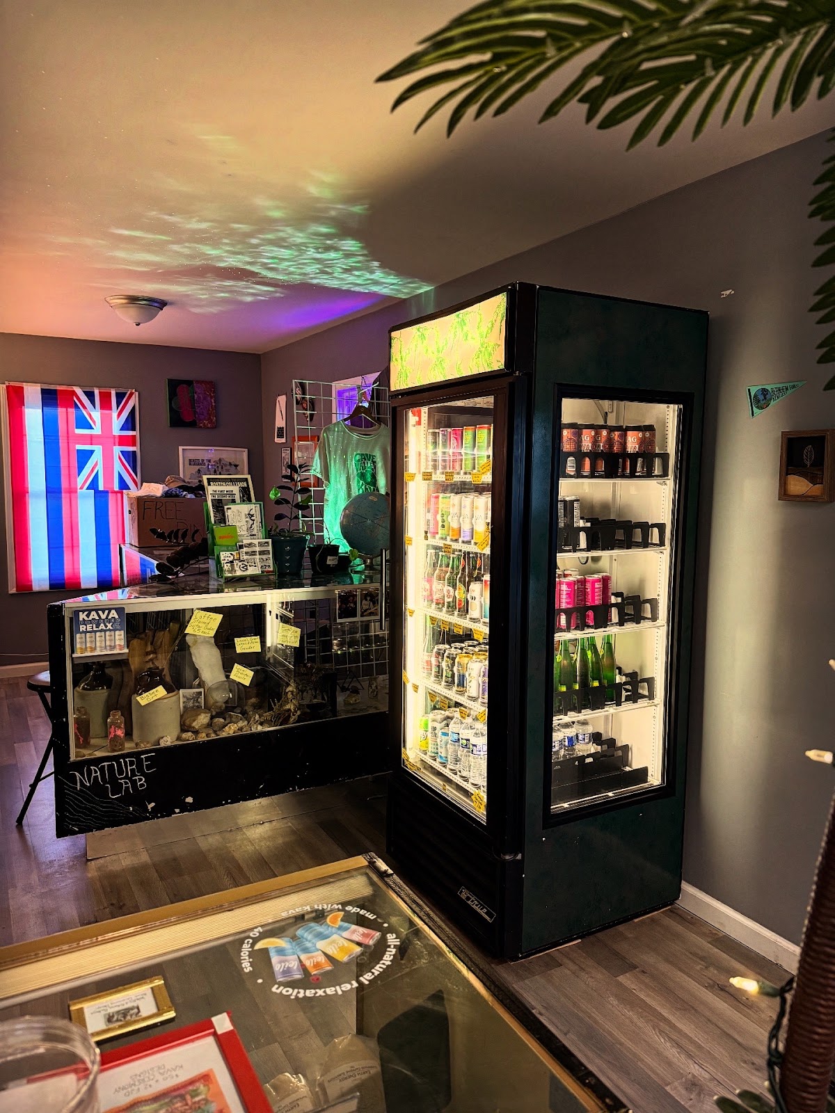 Cave Valley Kava photo 4