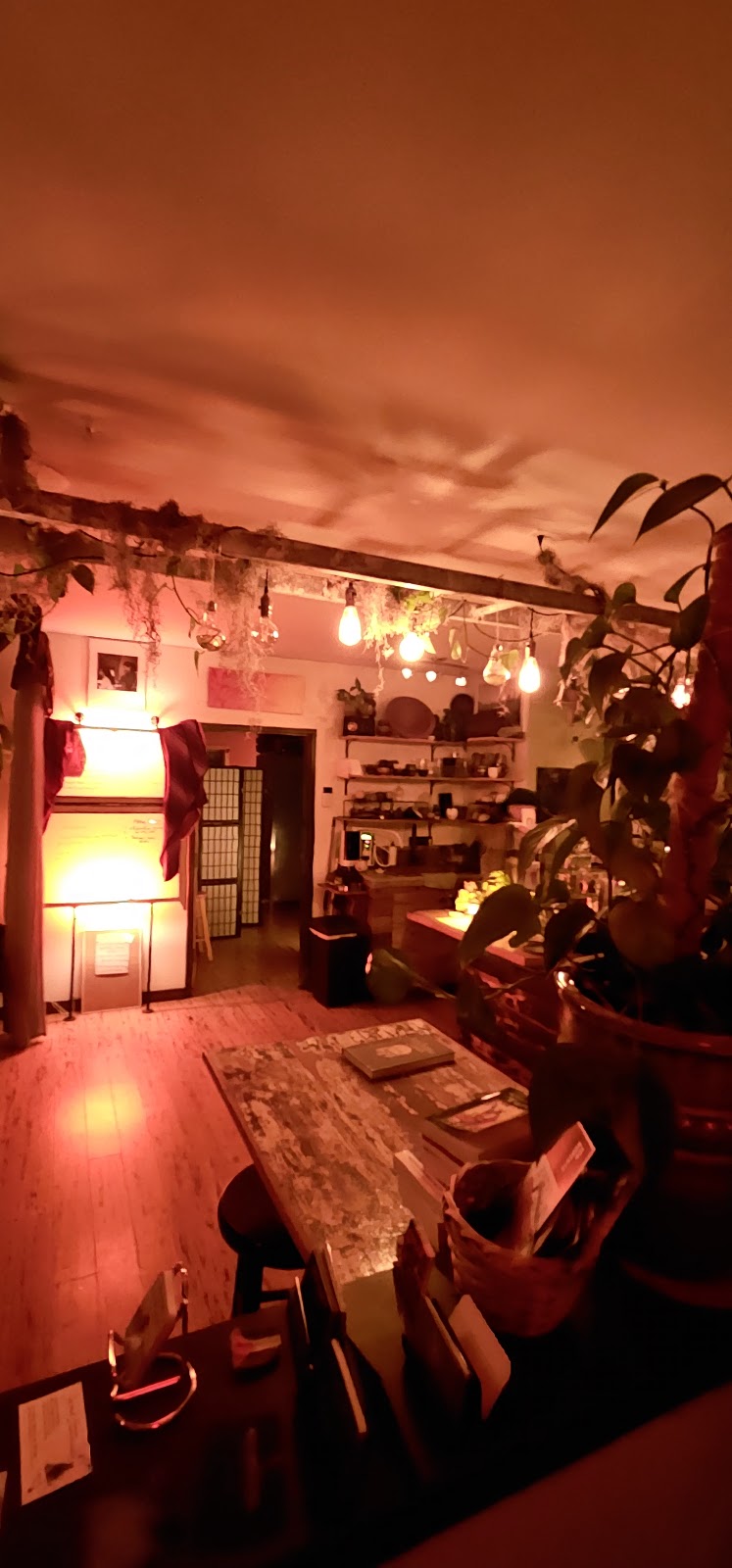 Nalu Kava Lounge Tea House photo 2