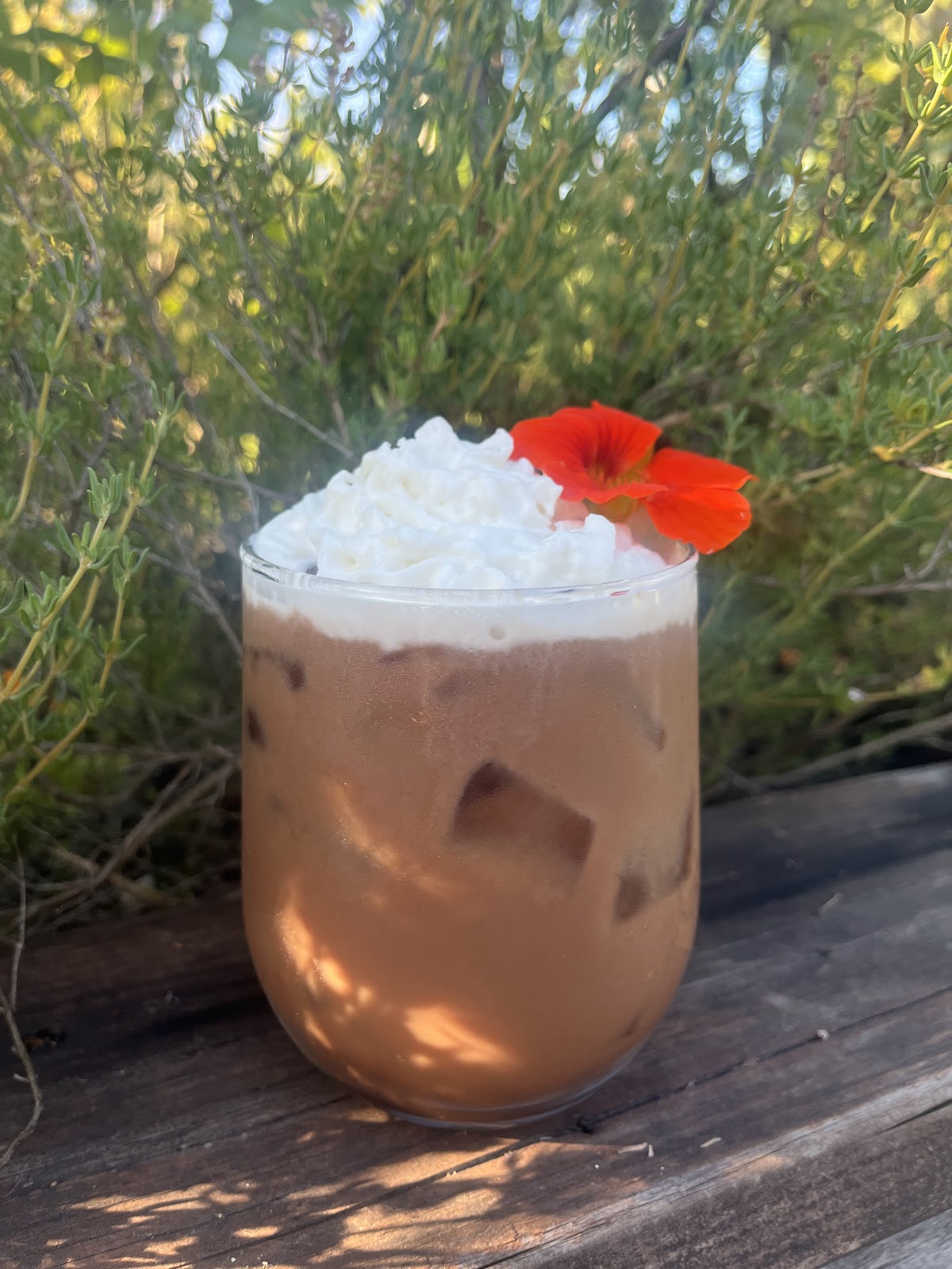 Nalu Kava Lounge Tea House photo 8