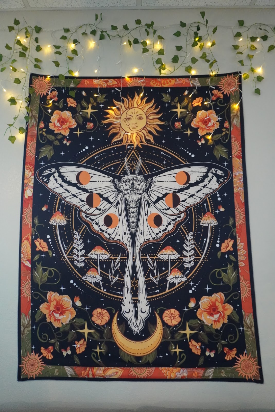 Fool's Kava House photo 2