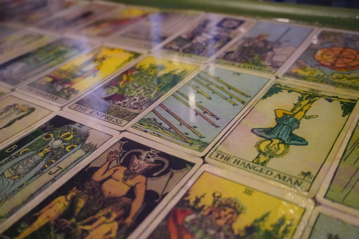 Fool's Kava House photo 6