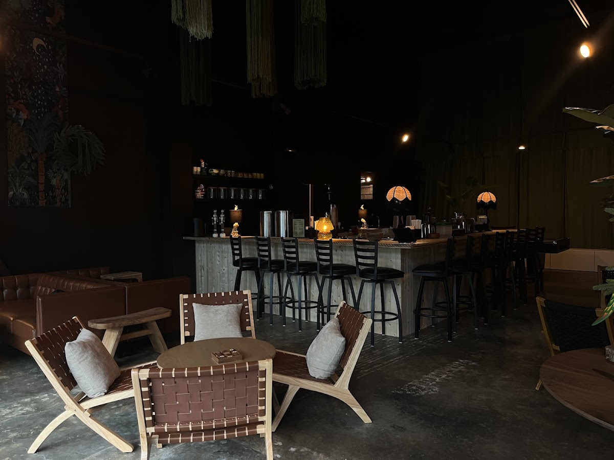 Lazy Bones Kava photo 2