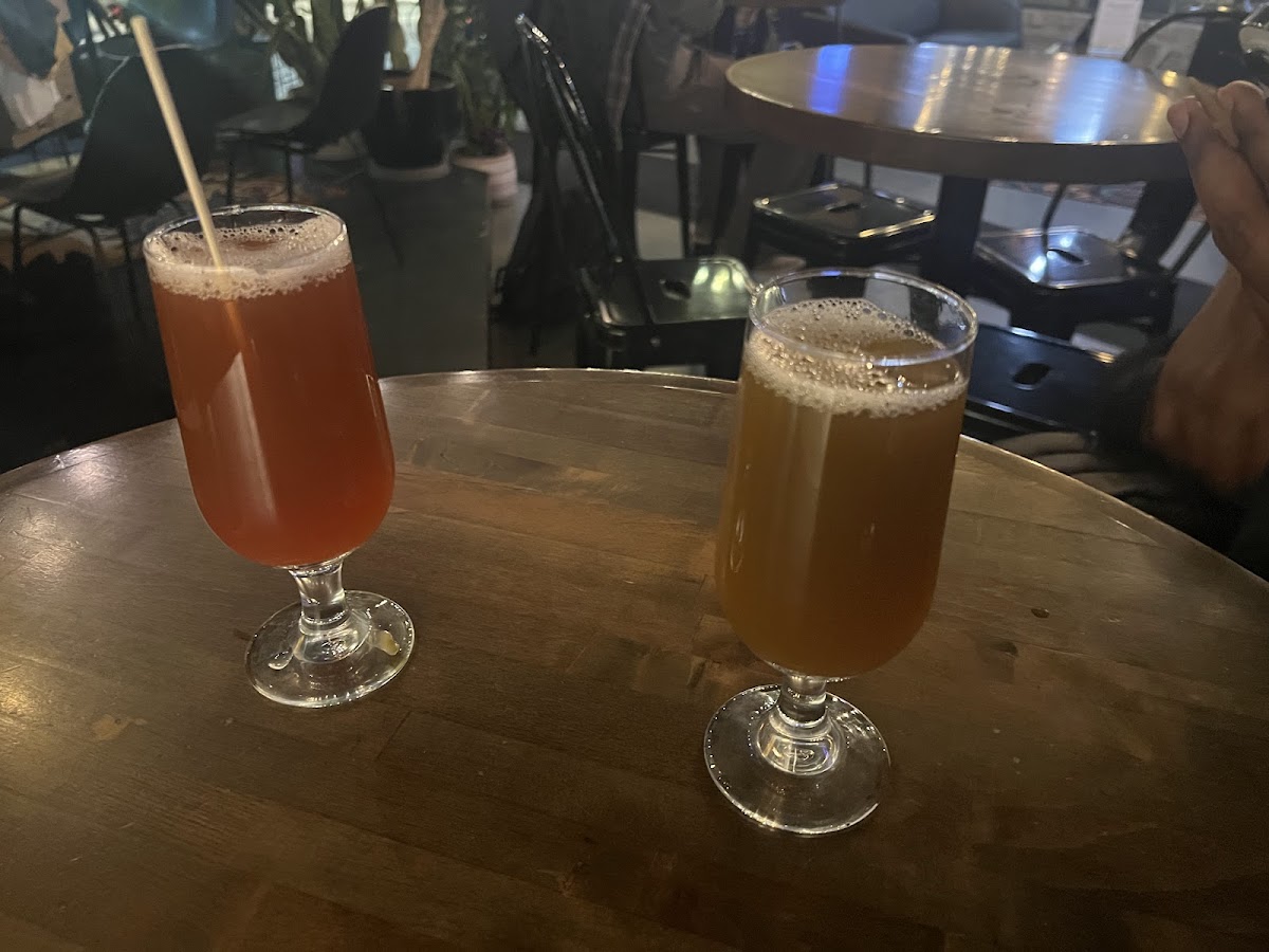 The Root Kava Co. photo 4