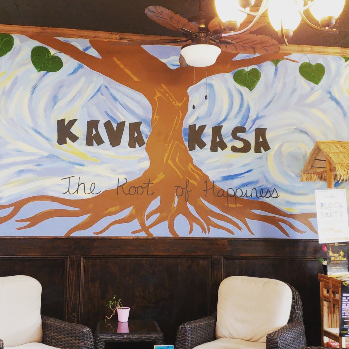 Kava Kasa photo 5