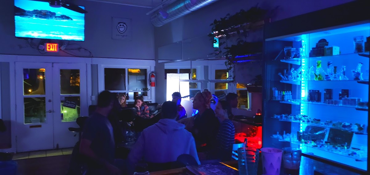 Kickin' it with Kava photo 8