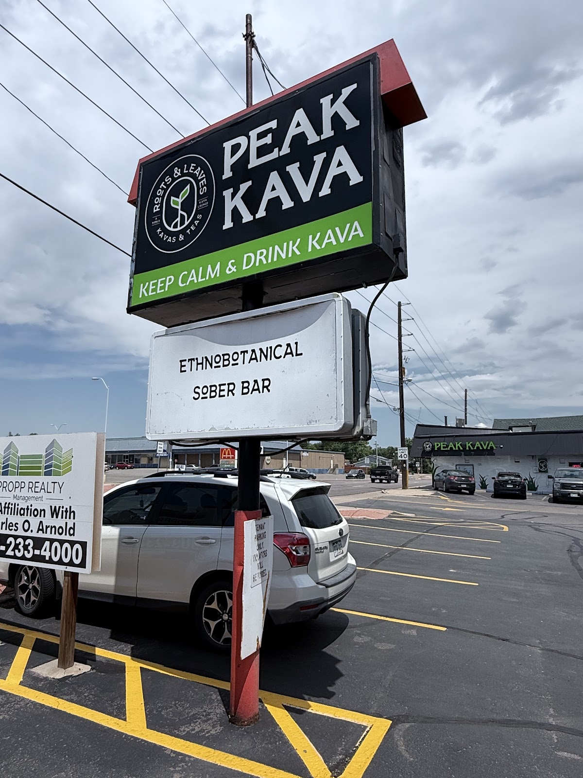 Roots and Leaves: Peak Kava photo 3