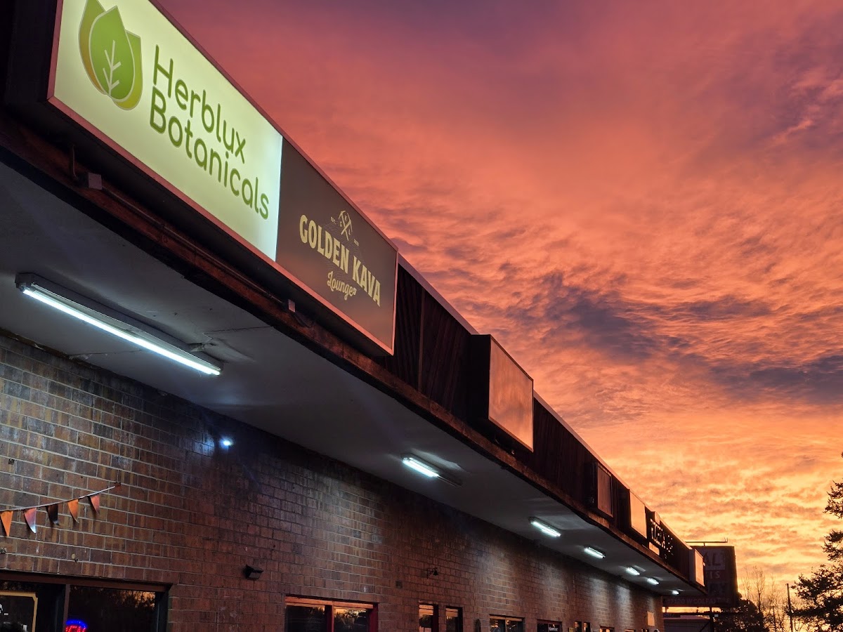 Golden Kava Lounge photo 3