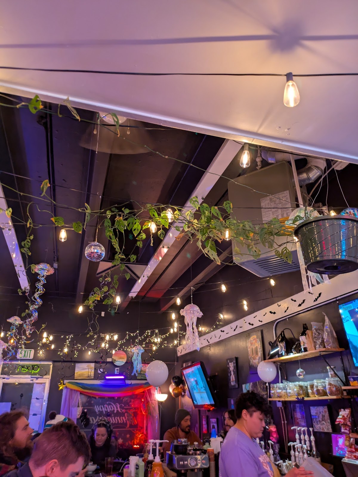 The Karma House - Kava Bar photo 8