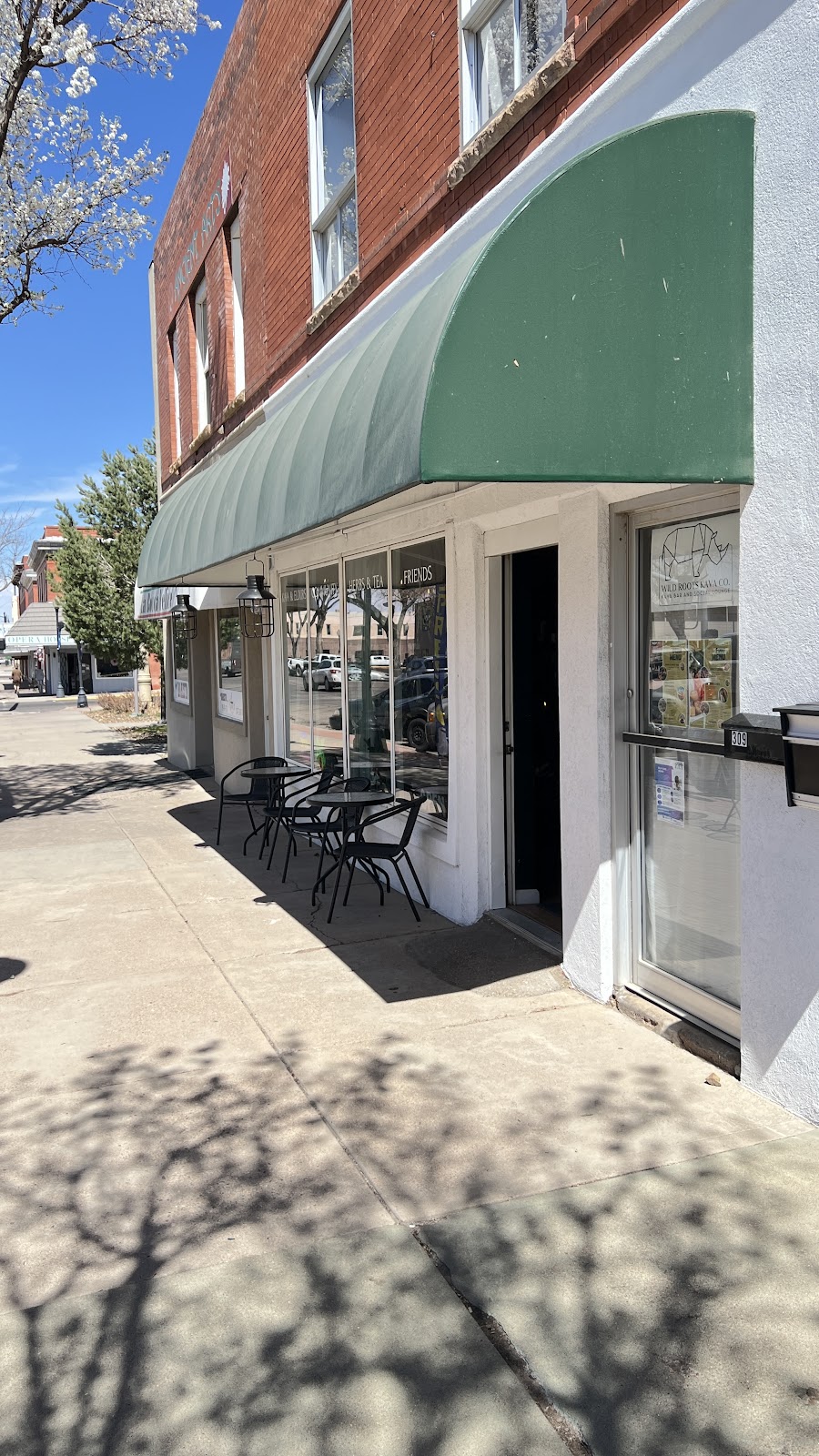 Wild Roots Kava Co. photo 4