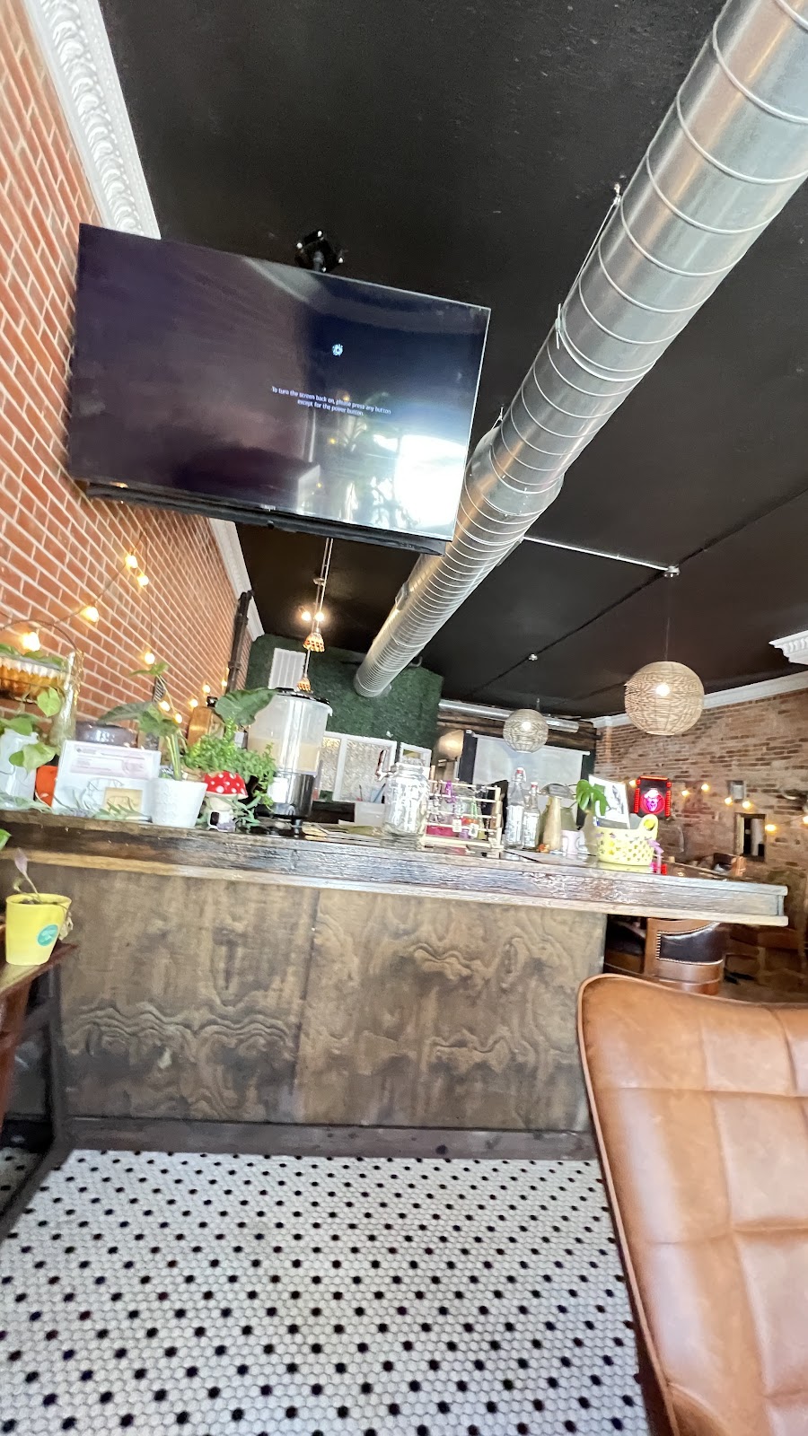 Wild Roots Kava Co. photo 5