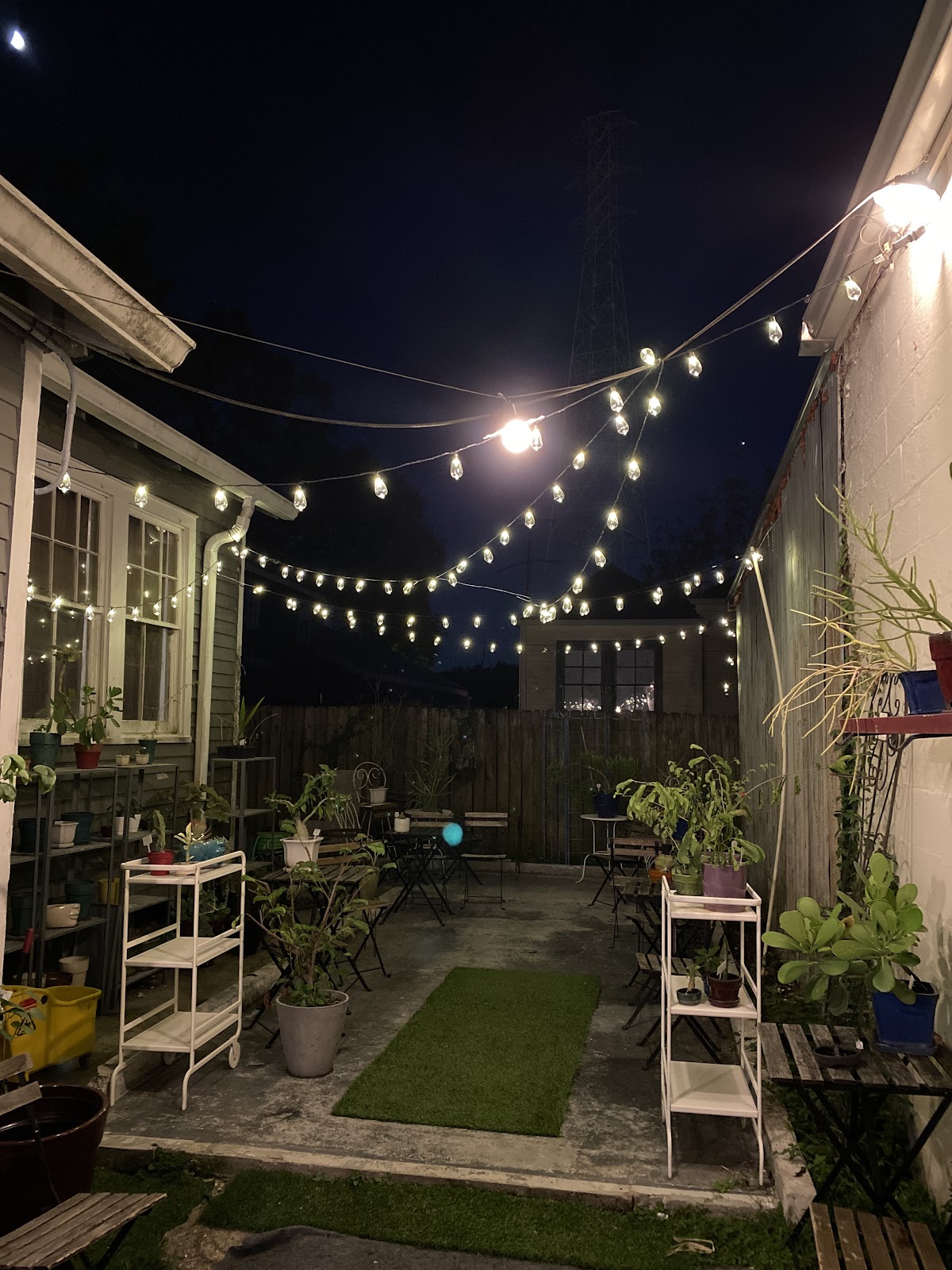 Euphorbia Kava Bar photo 4