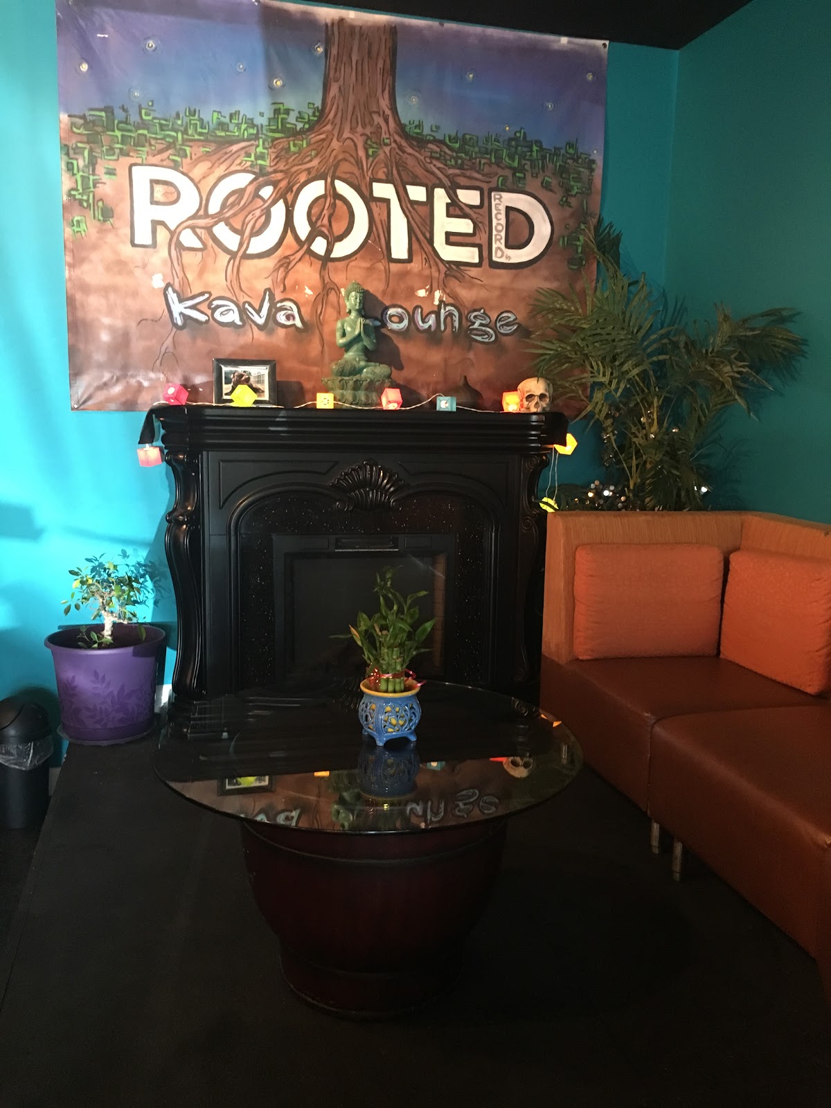 Rooted Kava Lounge photo 5