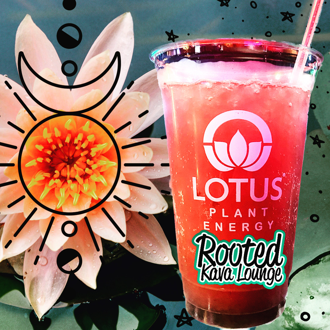 Rooted Kava Lounge photo 4