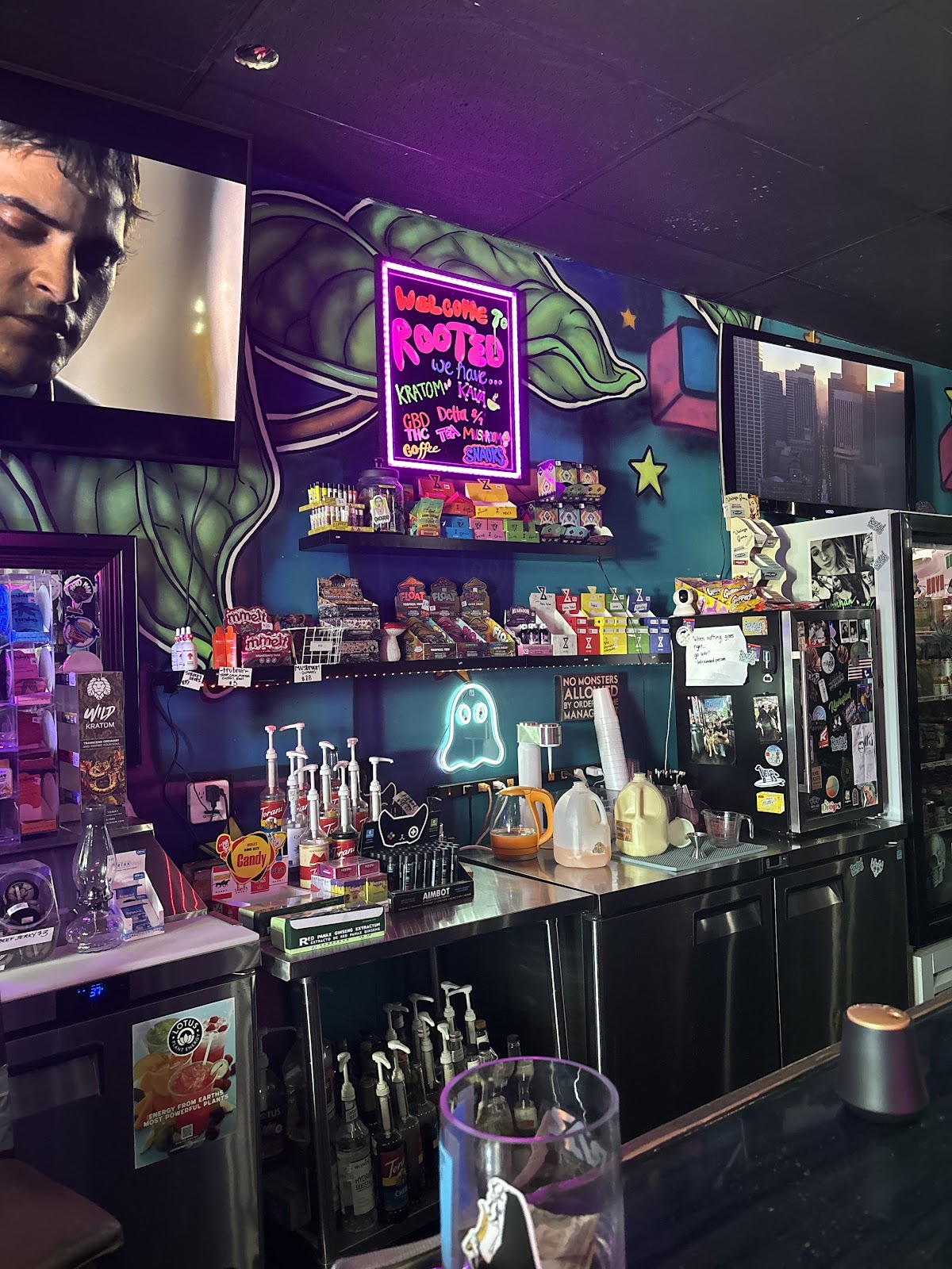 Rooted Kava Lounge photo 3