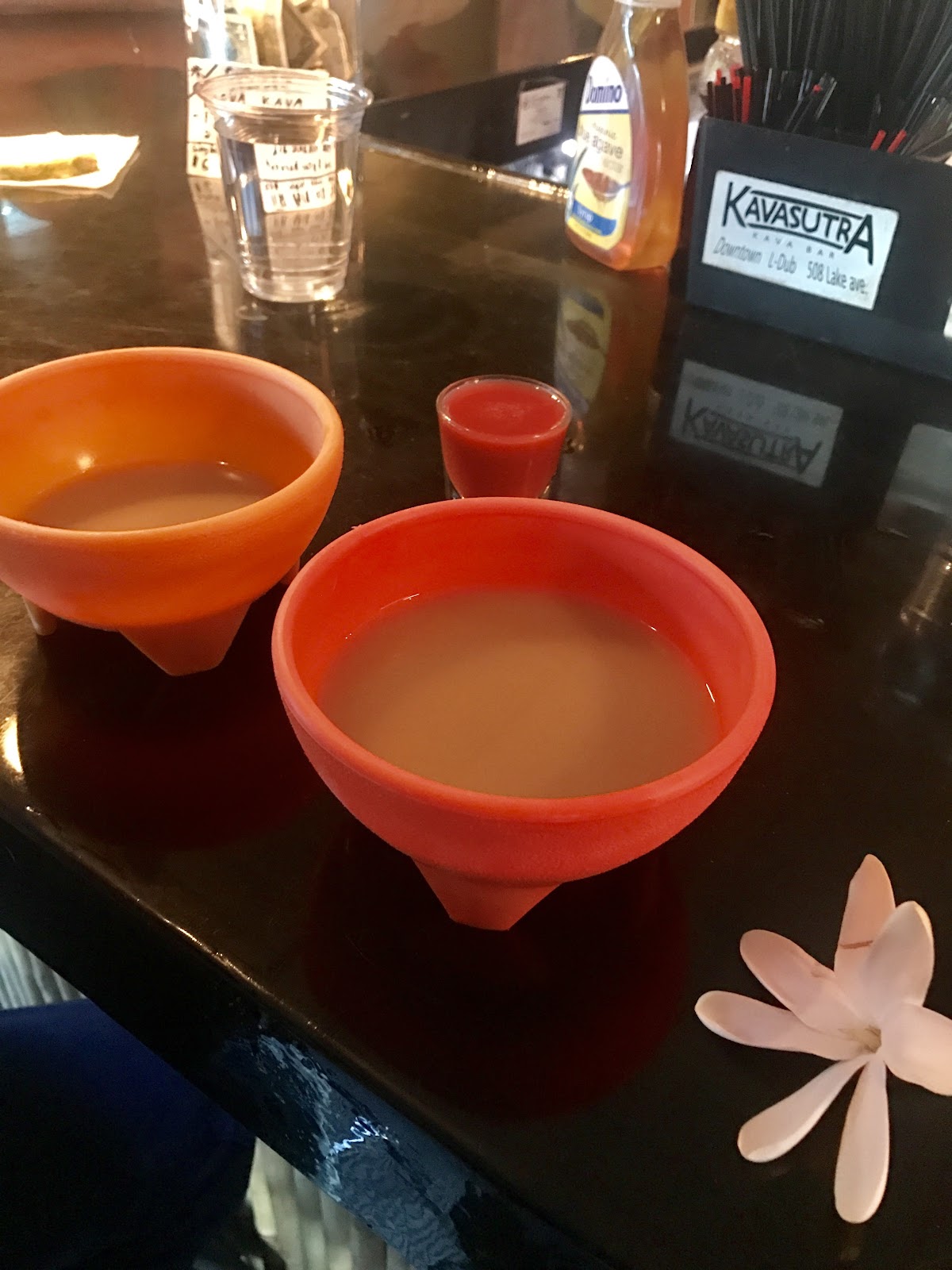 Kavasutra Kava Bar - Las Olas photo 4