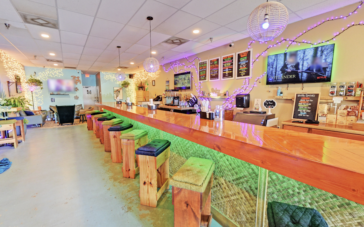 Green Turtle Kava Bar - St. Augustine photo 3