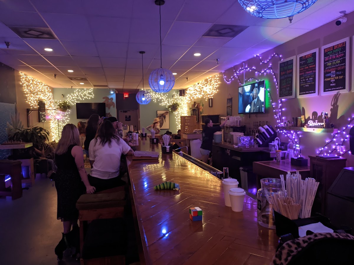 Green Turtle Kava Bar - St. Augustine photo 4