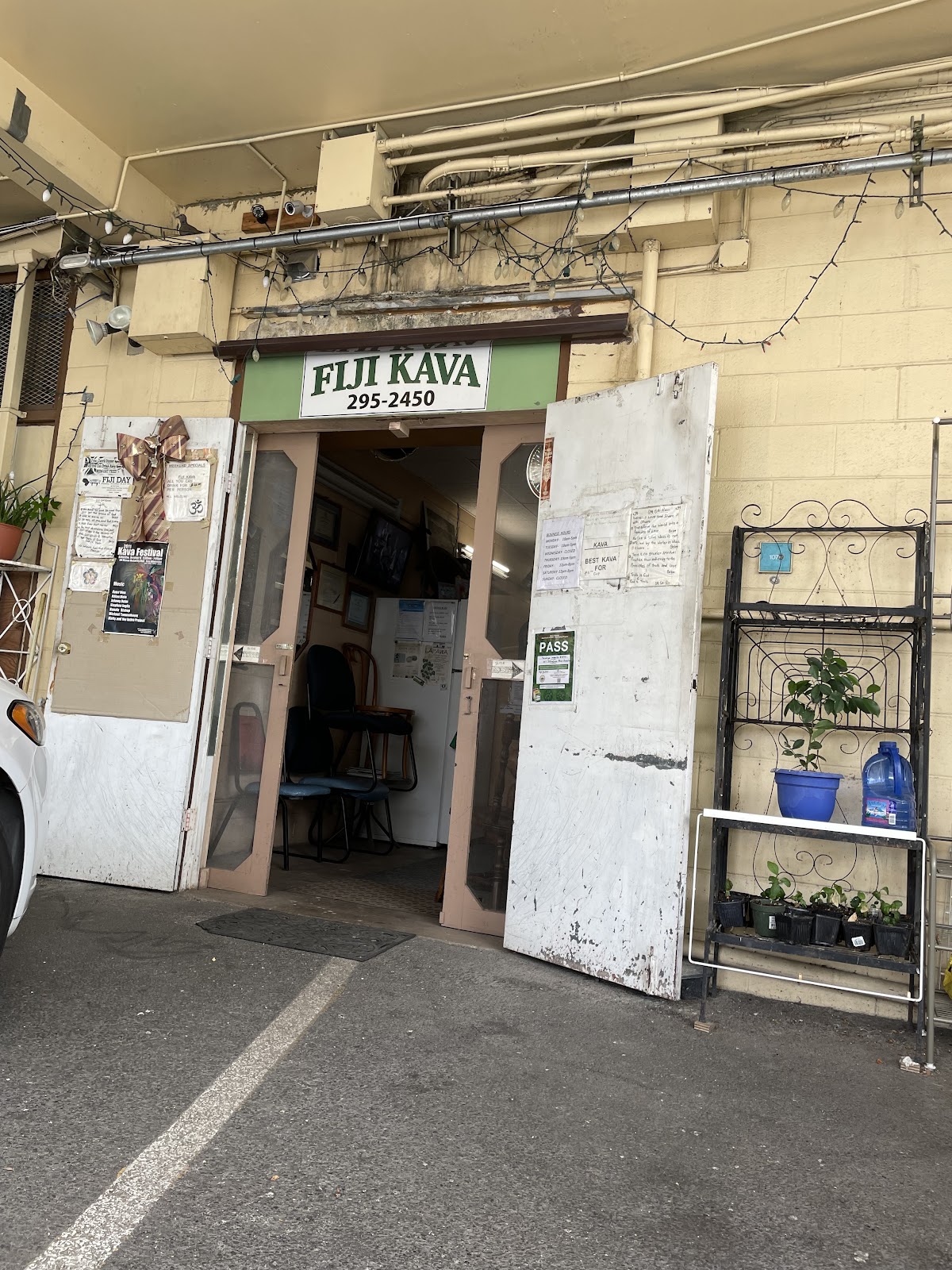 Fiji Kava Bar Honolulu photo 8