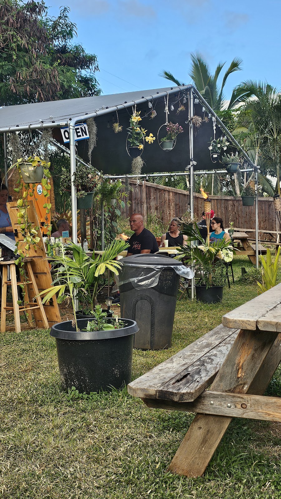 Kava Queen Kava Bar photo 5