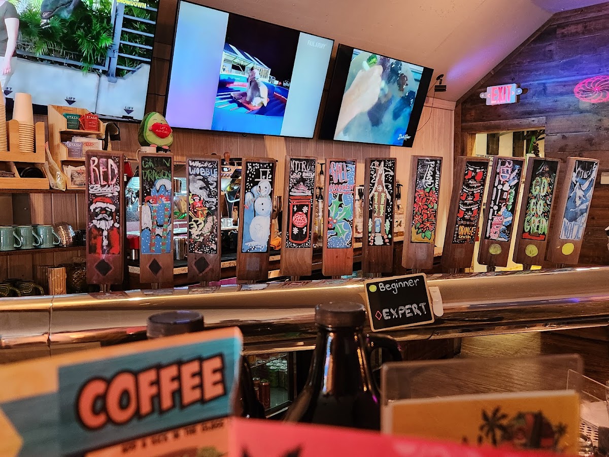 Elixir Lounge Kava Bar photo 4