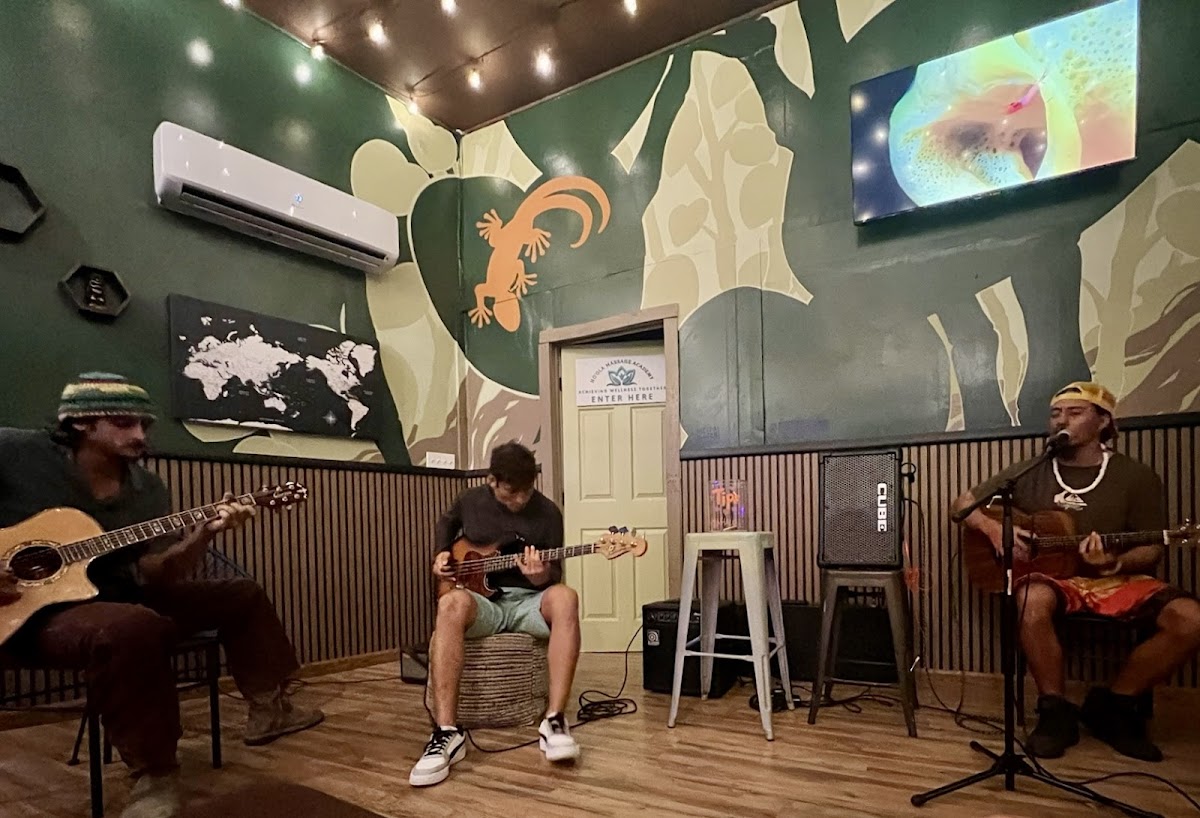 Kava Republic photo 5