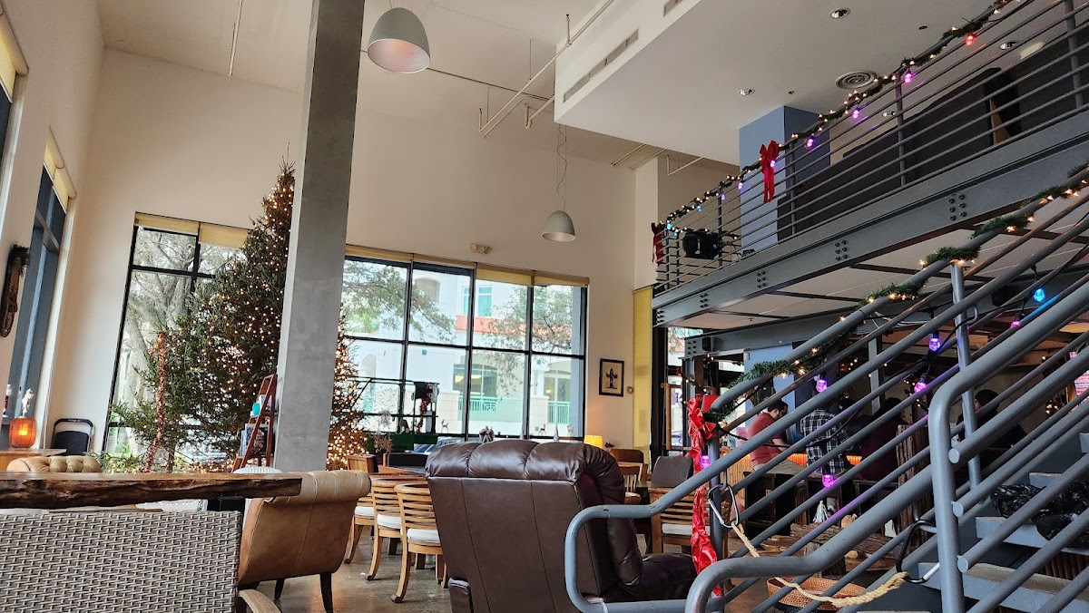 Purple Lotus Kava Bar photo 5