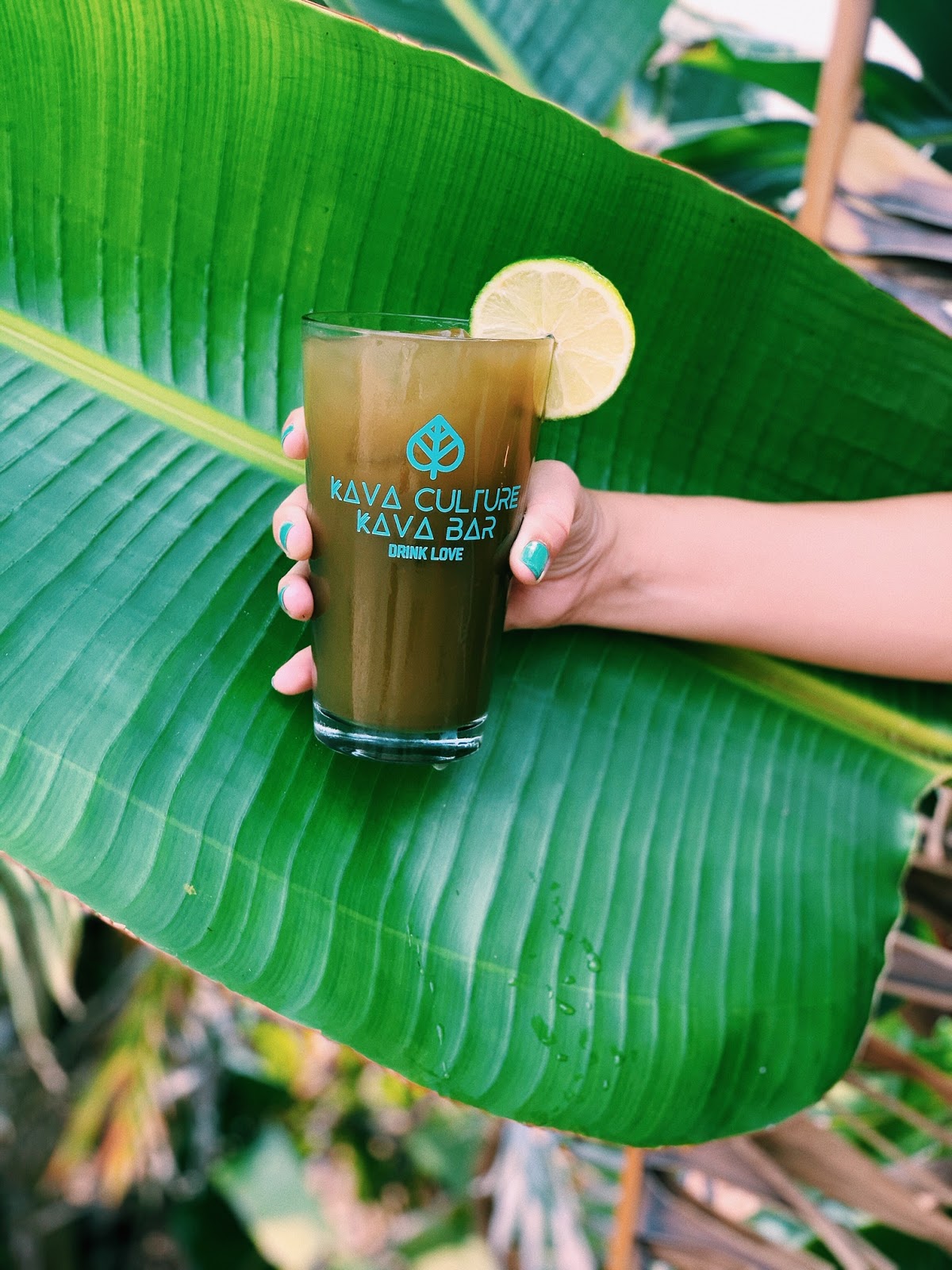 Kava Culture Kava Bar photo 3