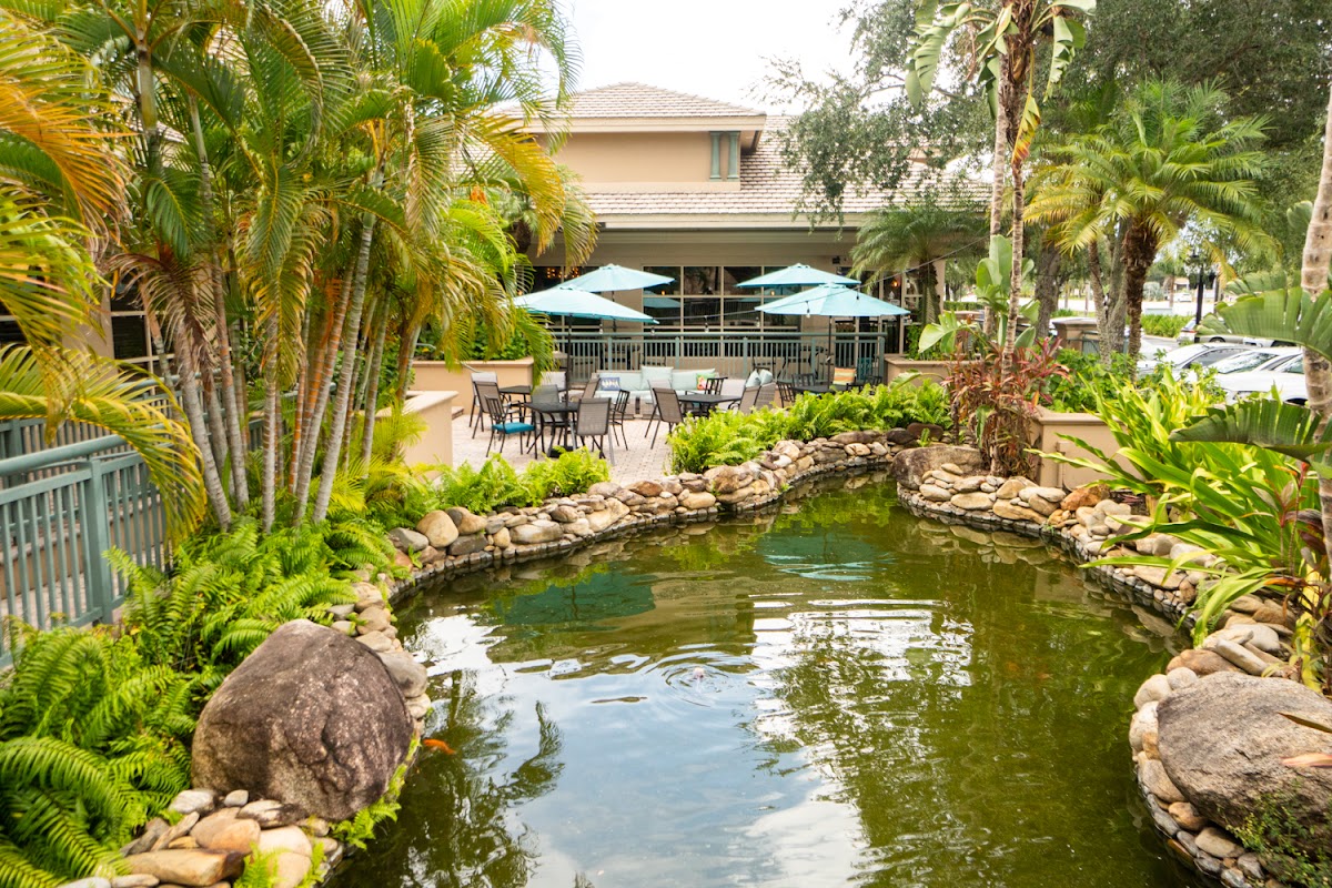 Kava Culture Kava Bar photo 5