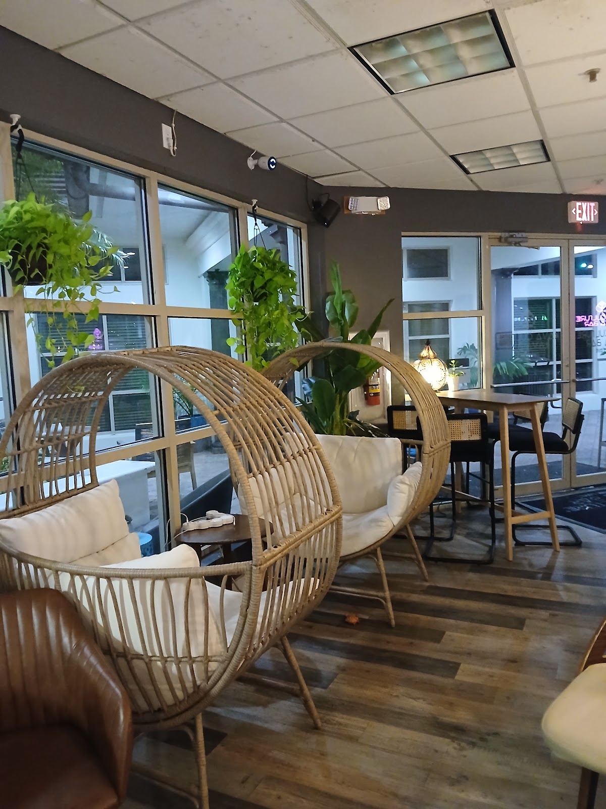 Kava Culture Kava Bar photo 7