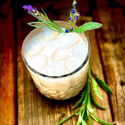 Shakedown Kava Lounge photo 8