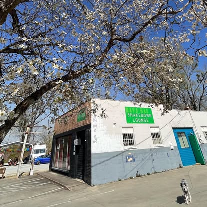 Shakedown Kava Lounge photo 3