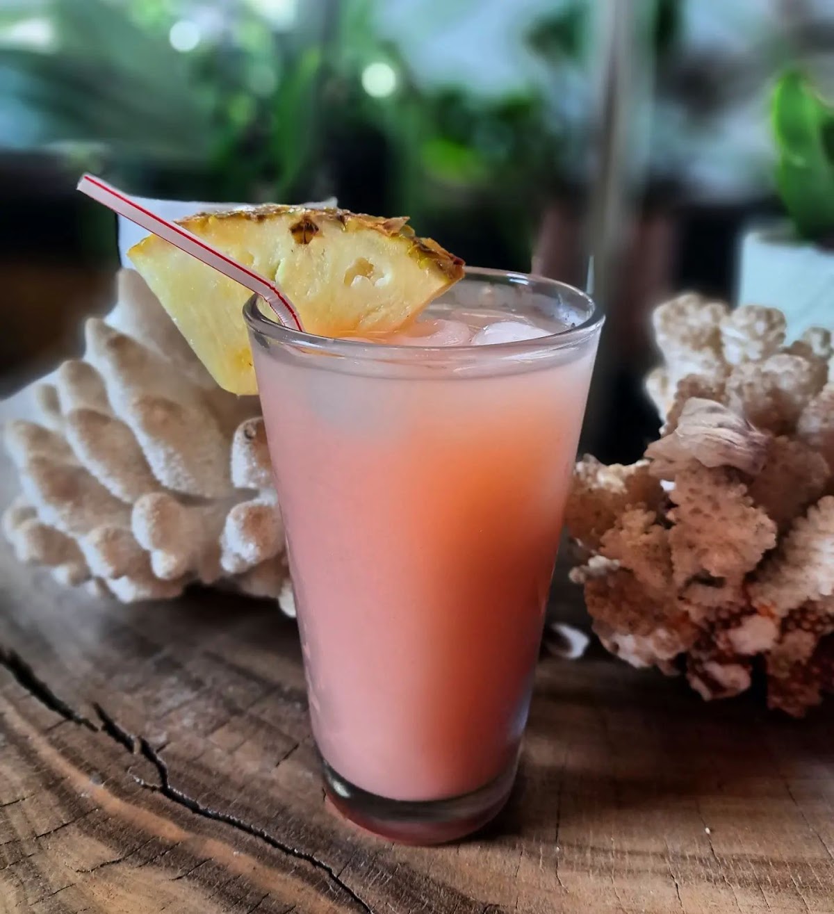 Noble Kava Ethnobotanical Tea Bar