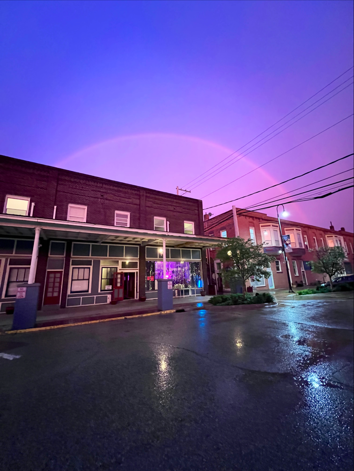 Noble House Kava photo 7