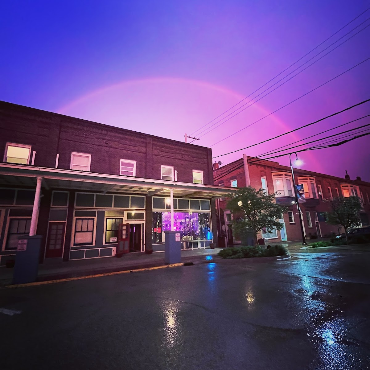 Noble House Kava photo 4