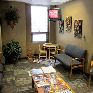 Dr. Rick Kava's Sioux City Dental photo 6