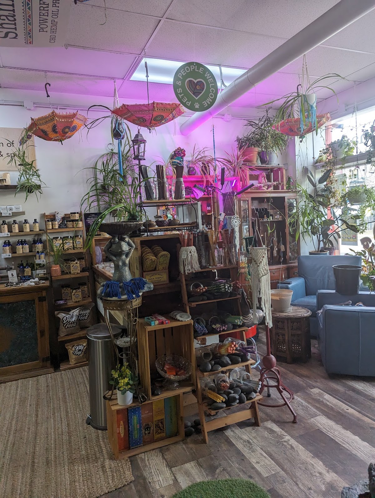 Midtown Kava photo 7