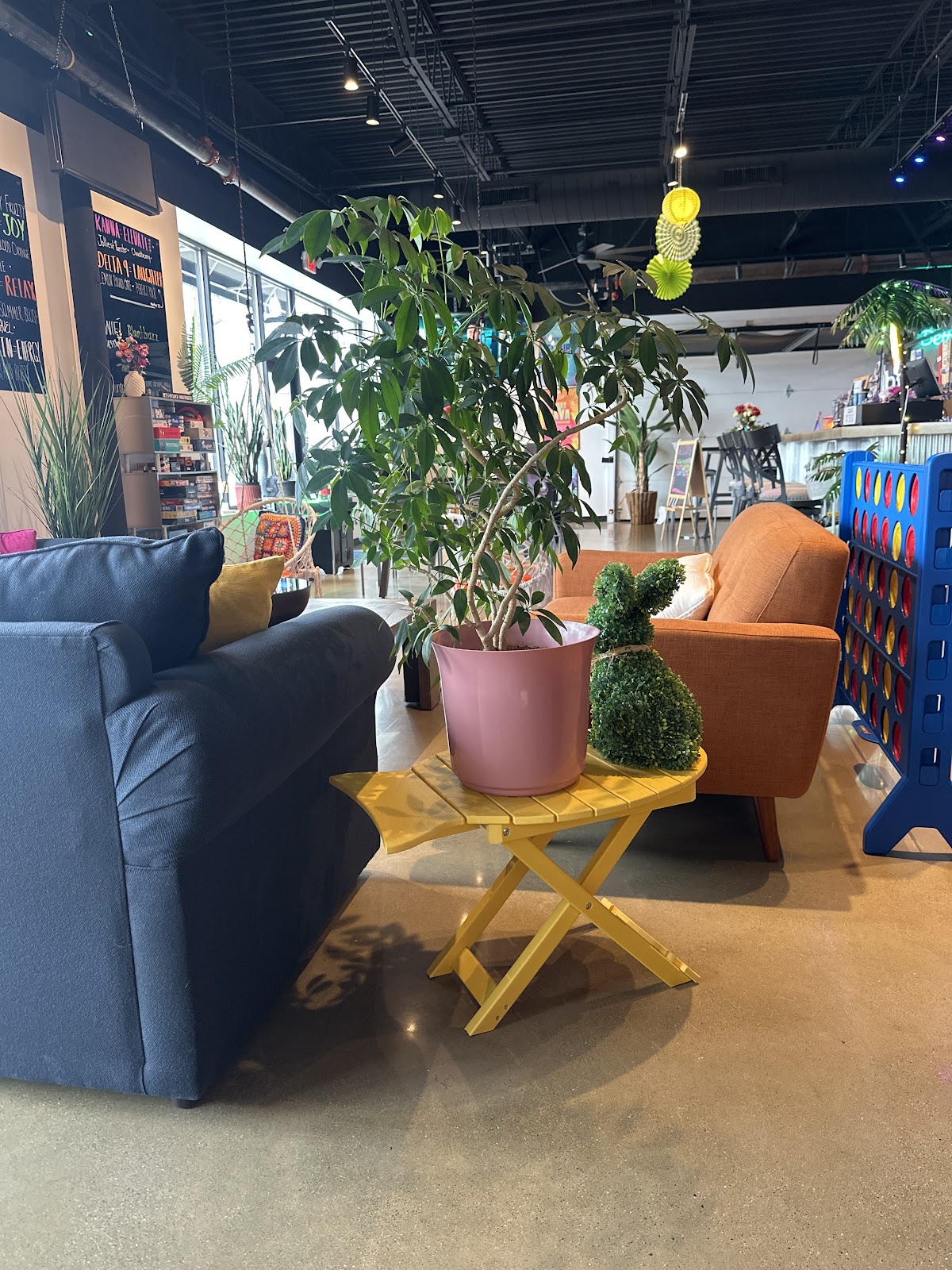 Kava Culture Kava Bar