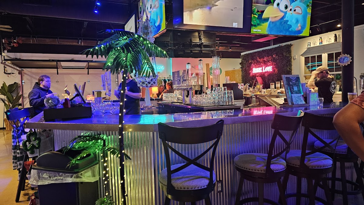 Kava Culture Kava Bar